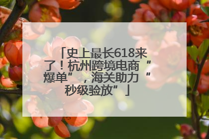 史上最长618来了！杭州跨境电商“爆单”，海关助力“秒级验放”