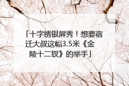 十字绣银屏秀！想要宿迁大叔这幅3.5米《金陵十二钗》的举手