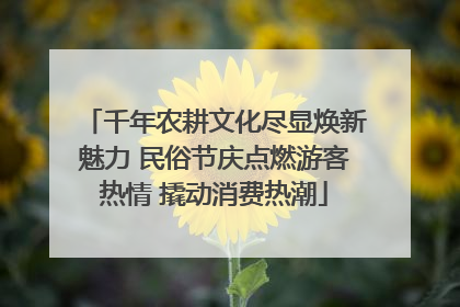 千年农耕文化尽显焕新魅力 民俗节庆点燃游客热情 撬动消费热潮