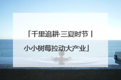 千里追耕·三夏时节丨小小树莓拉动大产业