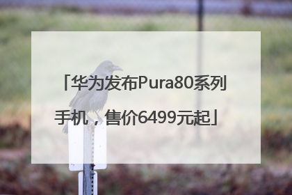 华为发布Pura80系列手机，售价6499元起