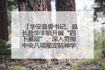 华安县委书记、县长赴华丰镇开展“四下基层”、深入贯彻中央八项规定精神学习教育工作调研