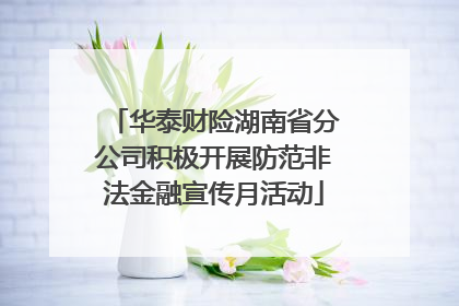 华泰财险湖南省分公司积极开展防范非法金融宣传月活动