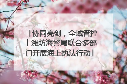 协同亮剑，全域管控丨潍坊海警局联合多部门开展海上执法行动