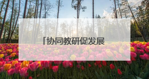 协同教研促发展 五育融合谱新篇——怀宁县、太湖县联合教研活动在月山镇中心学校成功举办