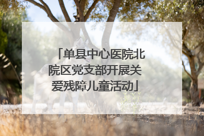 单县中心医院北院区党支部开展关爱残障儿童活动