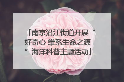 南京沿江街道开展“好奇心 维系生命之源”海洋科普主题活动