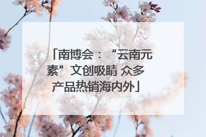 南博会：“云南元素”文创吸睛 众多产品热销海内外