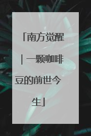 南方觉醒｜一颗咖啡豆的前世今生