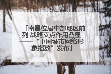 南昌位居中部地区前列 战略支点作用凸显——“中国城市网络形象指数”发布