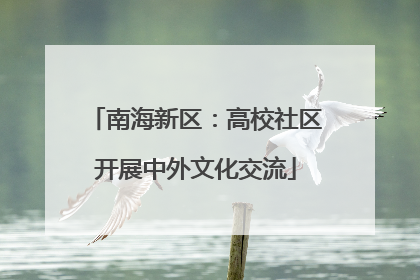 南海新区：高校社区开展中外文化交流