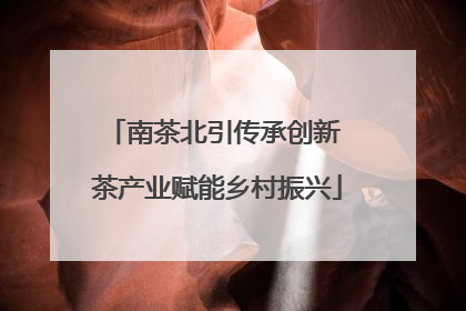 南茶北引传承创新 茶产业赋能乡村振兴