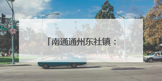 南通通州东社镇：“五一”返乡，党员们“归巢”学习