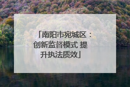 南阳市宛城区：创新监督模式 提升执法质效