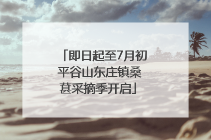即日起至7月初 平谷山东庄镇桑葚采摘季开启