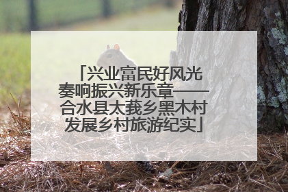 兴业富民好风光 奏响振兴新乐章——合水县太莪乡黑木村发展乡村旅游纪实