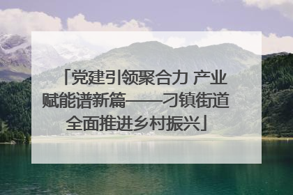 党建引领聚合力 产业赋能谱新篇——刁镇街道全面推进乡村振兴