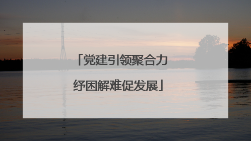 党建引领聚合力 纾困解难促发展