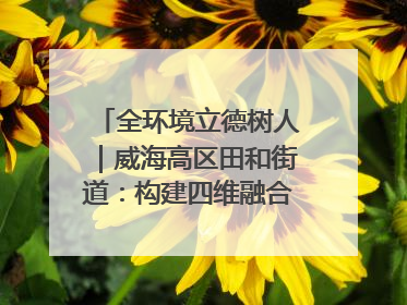 全环境立德树人｜威海高区田和街道：构建四维融合体系 绘就全环境立德树人新画卷