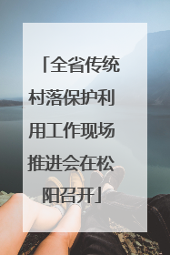 全省传统村落保护利用工作现场推进会在松阳召开