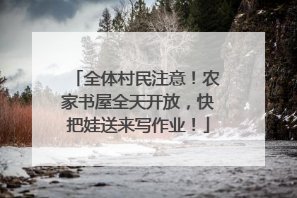 全体村民注意！农家书屋全天开放，快把娃送来写作业！