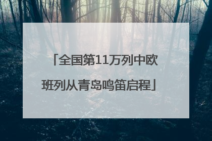 全国第11万列中欧班列从青岛鸣笛启程