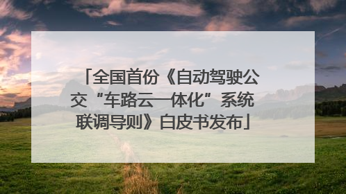 全国首份《自动驾驶公交“车路云一体化”系统联调导则》白皮书发布
