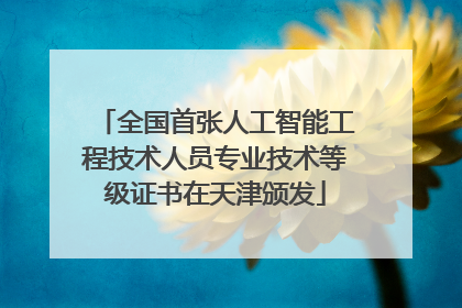 全国首张人工智能工程技术人员专业技术等级证书在天津颁发