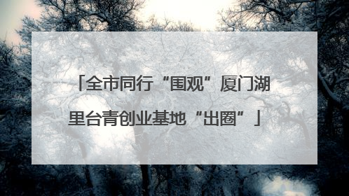 全市同行“围观”厦门湖里台青创业基地“出圈”