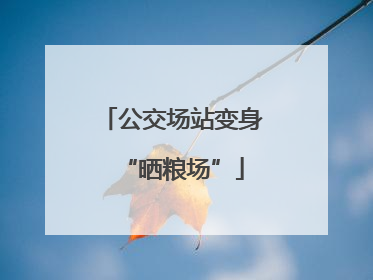 公交场站变身“晒粮场”