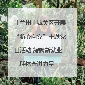 兰州市城关区开展“新心向党”主题党日活动 凝聚新就业群体奋进力量