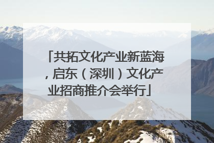 共拓文化产业新蓝海，启东（深圳）文化产业招商推介会举行