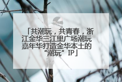 共潮玩，共青春，浙江金华三江里广场潮玩嘉年华打造金华本土的“潮玩”IP