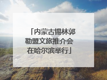 内蒙古锡林郭勒盟文旅推介会在哈尔滨举行