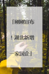 刚刚宣布！湖北新增一家国企