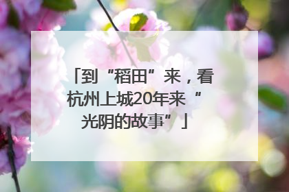 到“稻田”来，看杭州上城20年来“光阴的故事”