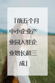 前五个月中小企业产业园入驻企业增长超三成