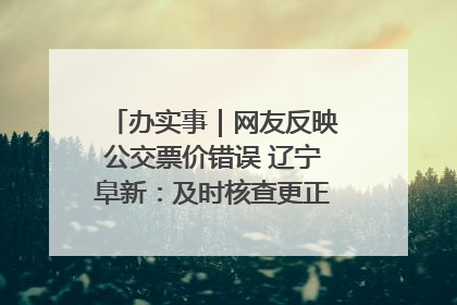 办实事｜网友反映公交票价错误 辽宁阜新：及时核查更正 加强实时巡检