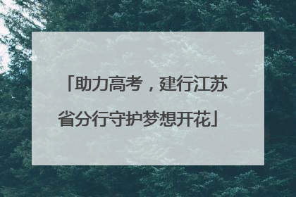 助力高考，建行江苏省分行守护梦想开花