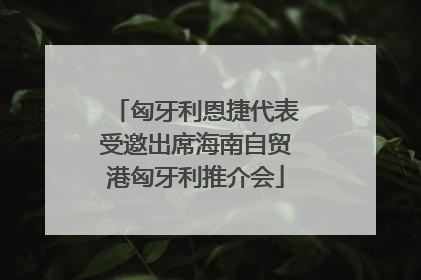 匈牙利恩捷代表受邀出席海南自贸港匈牙利推介会
