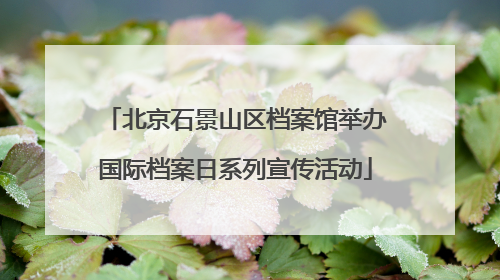 北京石景山区档案馆举办国际档案日系列宣传活动