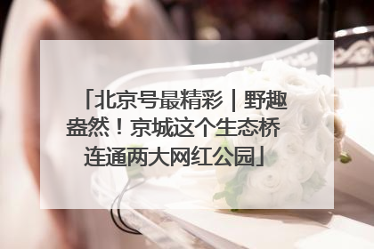 北京号最精彩｜野趣盎然！京城这个生态桥连通两大网红公园