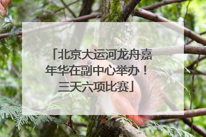 北京大运河龙舟嘉年华在副中心举办！三天六项比赛