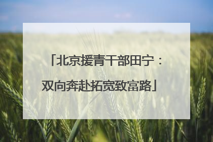 北京援青干部田宁：双向奔赴拓宽致富路