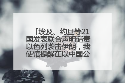 埃及、约旦等21国发表联合声明谴责以色列袭击伊朗，我使馆提醒在以中国公民尽快陆路离境