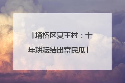 埇桥区夏王村：十年耕耘结出富民瓜