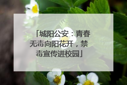 城阳公安：青春无毒向阳花开，禁毒宣传进校园