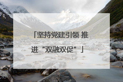 坚持党建引领 推进“双融双促”