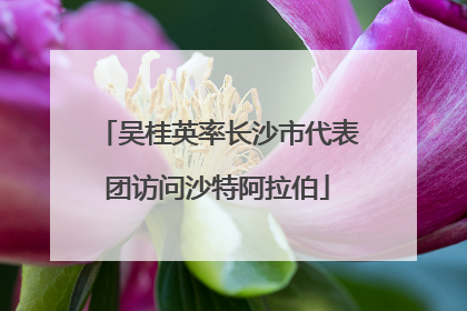 吴桂英率长沙市代表团访问沙特阿拉伯