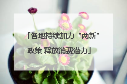 各地持续加力“两新”政策 释放消费潜力
